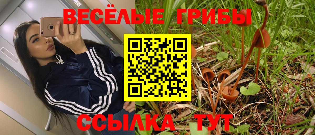 Галлюциногенные грибы прущие грибы Таганрог